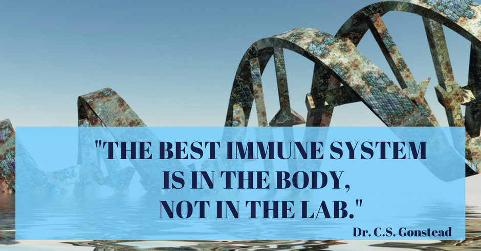 Best Immune System Quincy MA