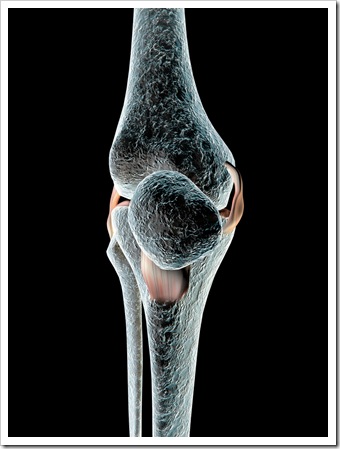 Knee Pain Quincy MA Sports Injury