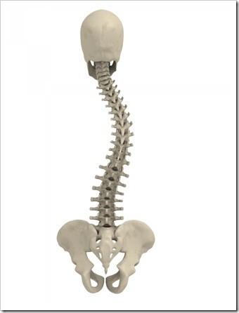 Scoliosis Quincy