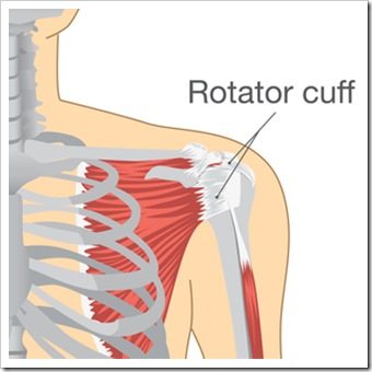 Shoulder Pain Quincy MA Rotator Cuff Injury